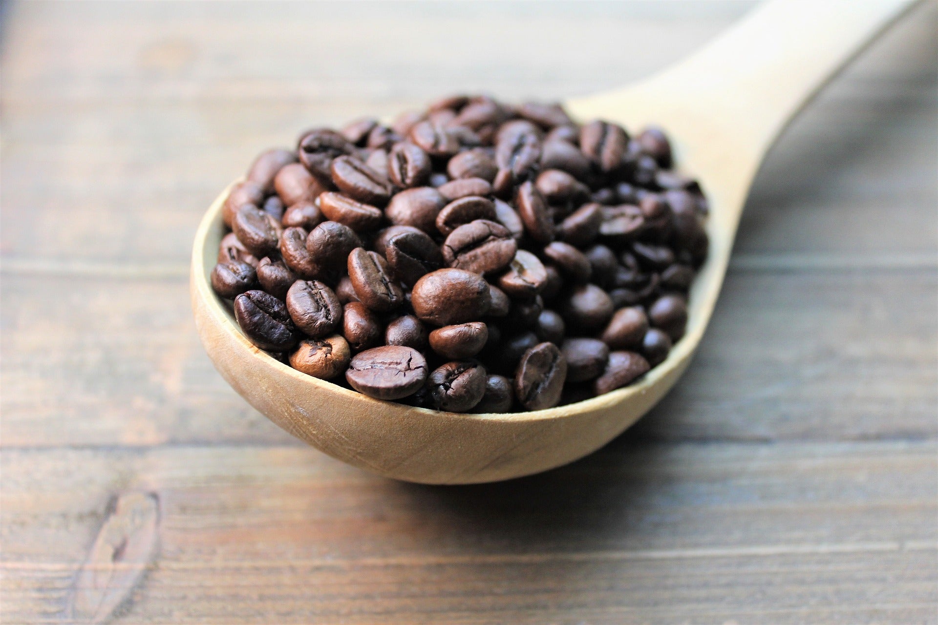 EL SALVADOR MEDIUM DARK-Chin Chin Coffee Roasters