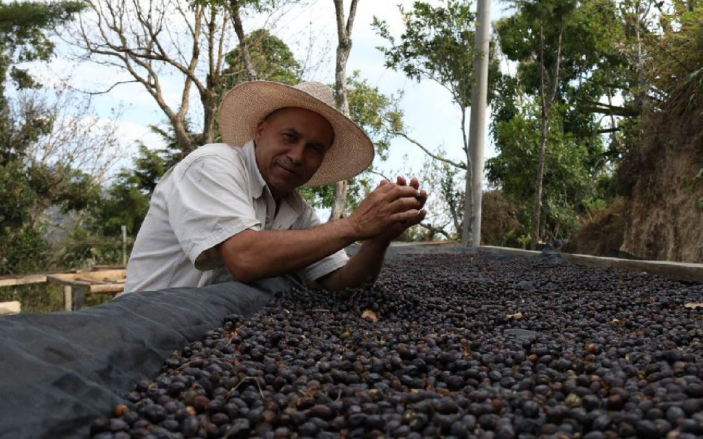 EL SALVADOR MEDIUM DARK-Chin Chin Coffee Roasters